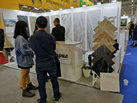 第十九屆廈門石材展