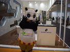 第十四屆廈門石材展