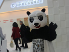 第十五屆廈門石材展