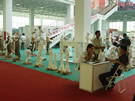 第五屆萊州石材展