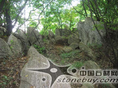 鎮(zhèn)江南山發(fā)現(xiàn)天然奇石群 鬼斧神工讓人驚嘆 鎮(zhèn)江南山發(fā)現(xiàn)天然奇石群 鬼斧神工讓人驚嘆